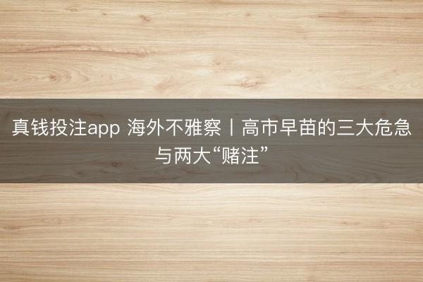 真钱投注app 海外不雅察丨高市早苗的三大危急与两大“赌注”