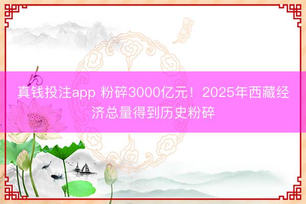 真钱投注app 粉碎3000亿元！2025年西藏经济总量得到历史粉碎