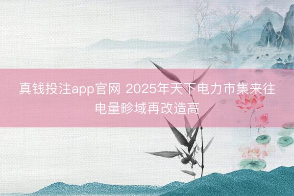 真钱投注app官网 2025年天下电力市集来往电量畛域再改造高