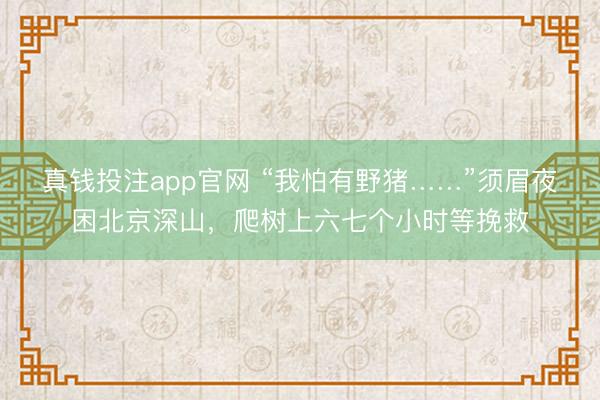 真钱投注app官网 “我怕有野猪……”须眉夜困北京深山，爬树上六七个小时等挽救