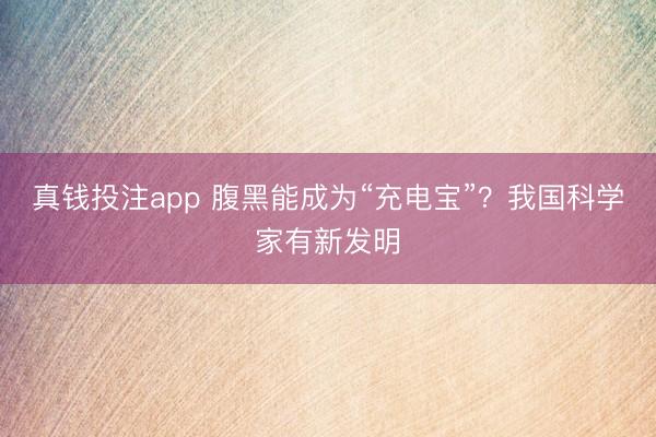 真钱投注app 腹黑能成为“充电宝”?我国科学家有新发明
