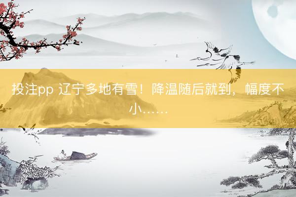 投注pp 辽宁多地有雪！降温随后就到，幅度不小……