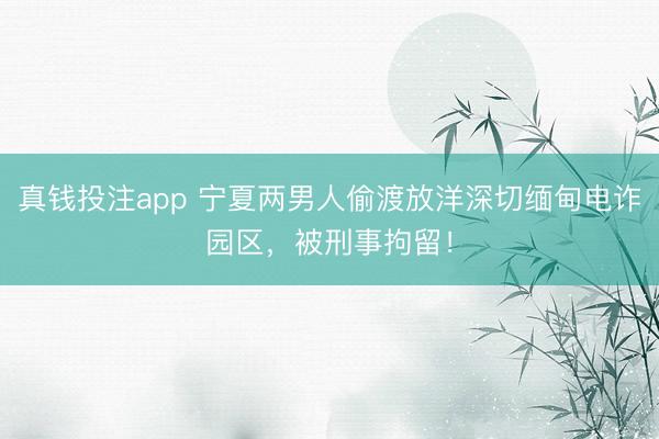 真钱投注app 宁夏两男人偷渡放洋深切缅甸电诈园区，被刑事拘留！