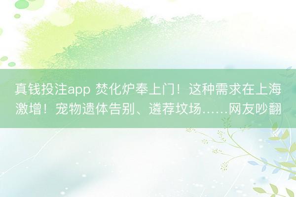 真钱投注app 焚化炉奉上门！这种需求在上海激增！宠物遗体告别、遴荐坟场……网友吵翻