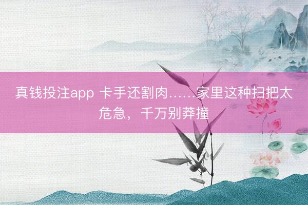 真钱投注app 卡手还割肉……家里这种扫把太危急，千万别莽撞
