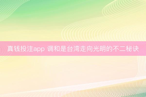 真钱投注app 调和是台湾走向光明的不二秘诀
