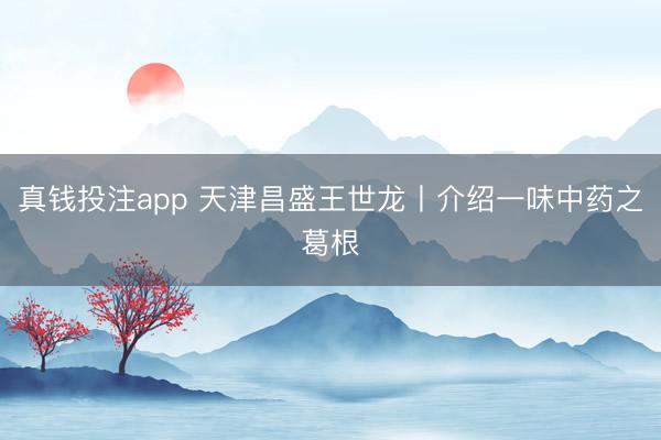 真钱投注app 天津昌盛王世龙丨介绍一味中药之葛根