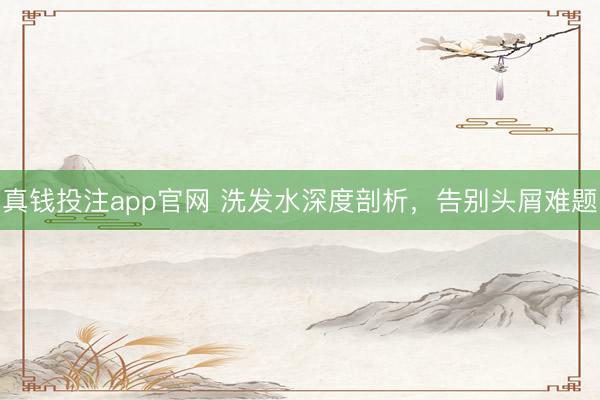 真钱投注app官网 洗发水深度剖析，告别头屑难题