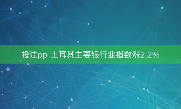 投注pp 土耳其主要银行业指数涨2.2%