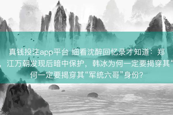真钱投注app平台 细看沈醉回忆录才知道：郑耀先化名周志乾，江万朝发现后暗中保护，韩冰为何一定要揭穿其“军统六哥”身份？
