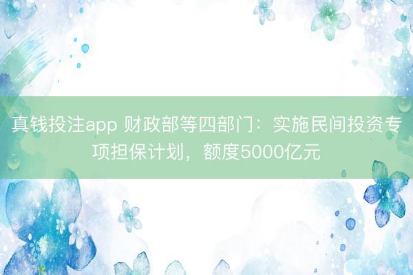 真钱投注app 财政部等四部门：实施民间投资专项担保计划，额度5000亿元