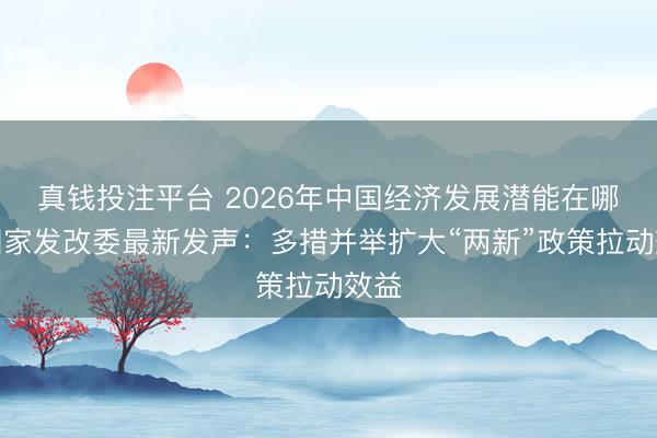 真钱投注平台 2026年中国经济发展潜能在哪?国家发改委最新发声:多措并举扩大“两新”政策拉动效益