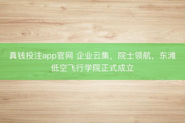真钱投注app官网 企业云集，院士领航，东滩低空飞行学院正式成立