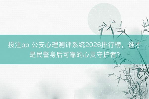 投注pp 公安心理测评系统2026排行榜,谁才是民警身后可靠的心灵守护者?