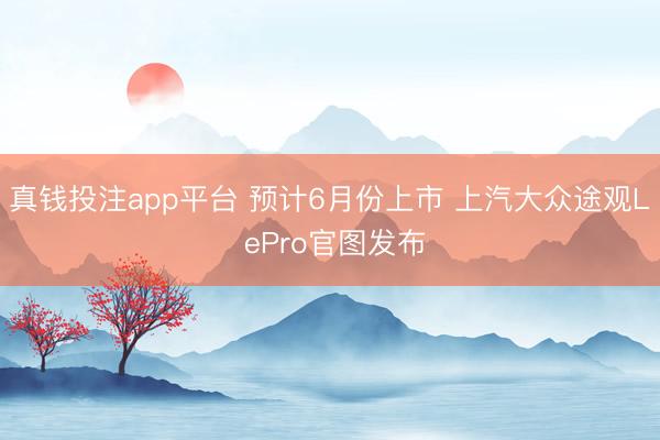 真钱投注app平台 预计6月份上市 上汽大众途观L ePro官图发布