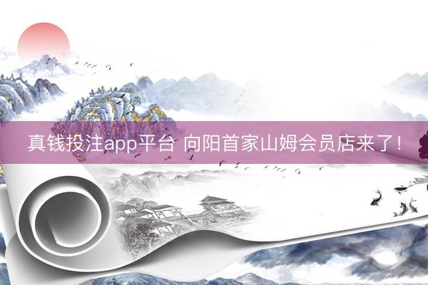 真钱投注app平台 向阳首家山姆会员店来了!