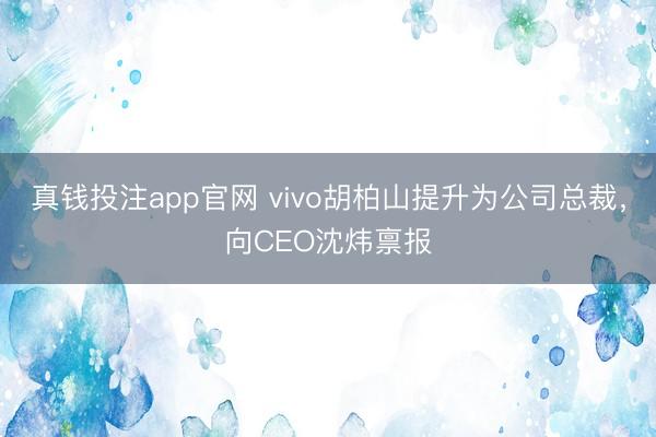 真钱投注app官网 vivo胡柏山提升为公司总裁,向CEO沈炜禀报
