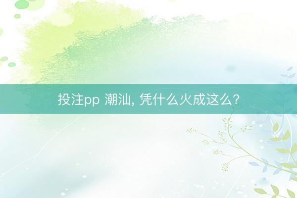 投注pp 潮汕， 凭什么火成这么?