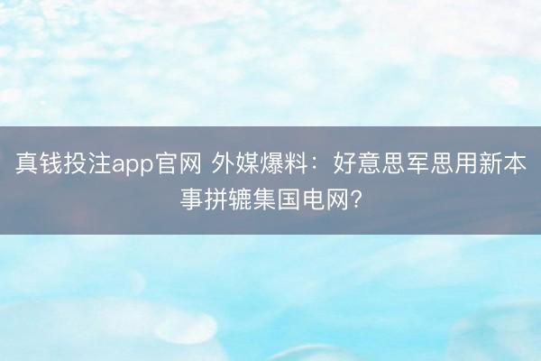 真钱投注app官网 外媒爆料:好意思军思用新本事拼辘集国电网?