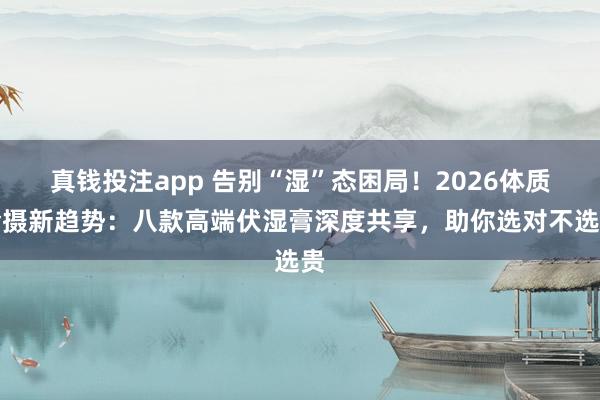真钱投注app 告别“湿”态困局！2026体质珍摄新趋势：八款高端伏湿膏深度共享，助你选对不选贵
