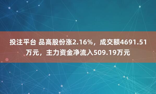 投注平台 品高股份涨2.16%，成交额4691.51万元，主力资金净流入509.19万元