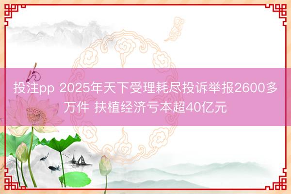 投注pp 2025年天下受理耗尽投诉举报2600多万件 扶植经济亏本超40亿元