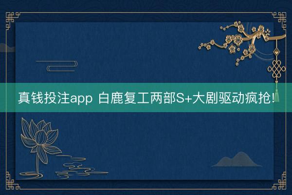 真钱投注app 白鹿复工两部S+大剧驱动疯抢!
