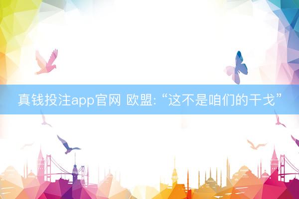 真钱投注app官网 欧盟: “这不是咱们的干戈”