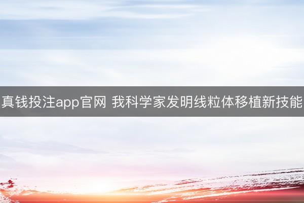 真钱投注app官网 我科学家发明线粒体移植新技能