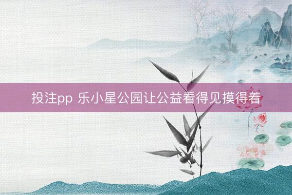 投注pp 乐小星公园让公益看得见摸得着