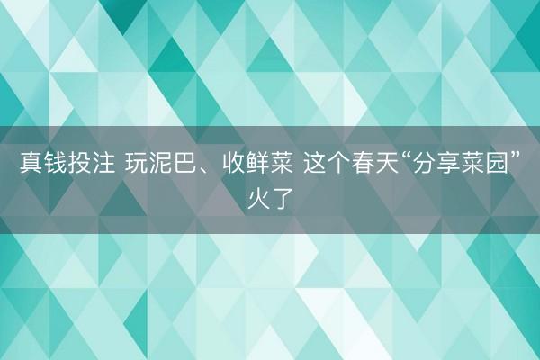 真钱投注 玩泥巴、收鲜菜 这个春天“分享菜园”火了