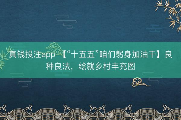 真钱投注app 【“十五五”咱们躬身加油干】良种良法，绘就乡村丰充图