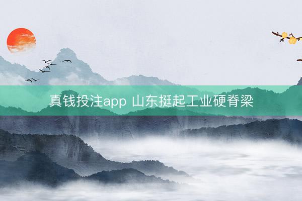 真钱投注app 山东挺起工业硬脊梁