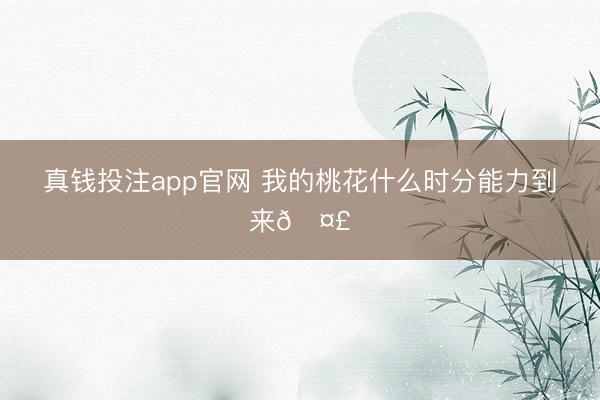 真钱投注app官网 我的桃花什么时分能力到来🤣