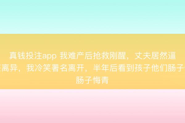 真钱投注app 我难产后抢救刚醒，丈夫居然逼我签离异，我冷笑署名离开，半年后看到孩子他们肠子悔青
