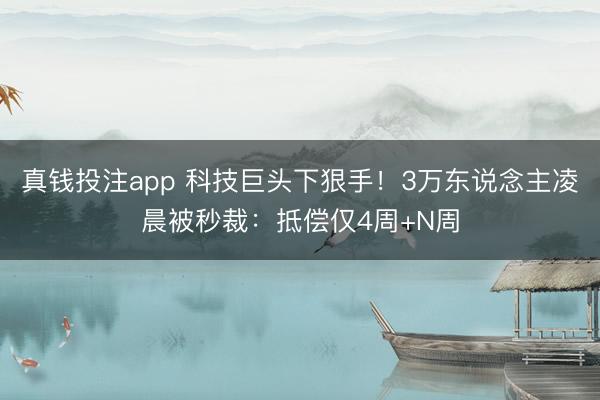 真钱投注app 科技巨头下狠手!3万东说念主凌晨被秒裁:抵偿仅4周+N周
