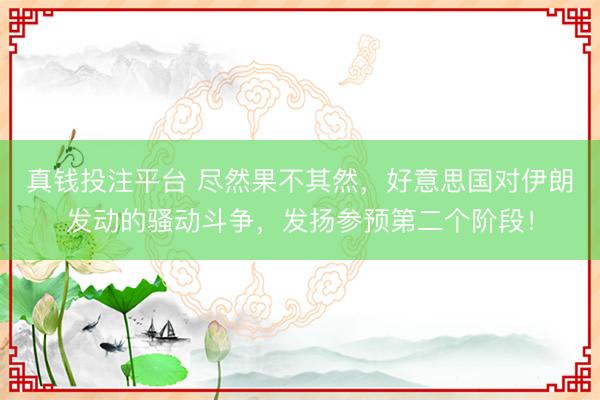 真钱投注平台 尽然果不其然，好意思国对伊朗发动的骚动斗争，发扬参预第二个阶段！