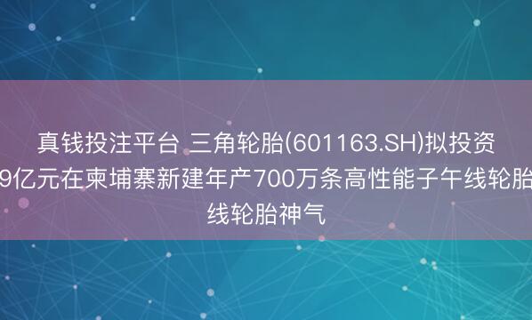 真钱投注平台 三角轮胎(601163.SH)拟投资32.19亿元在柬埔寨新建年产700万条高性能子午线轮胎神气