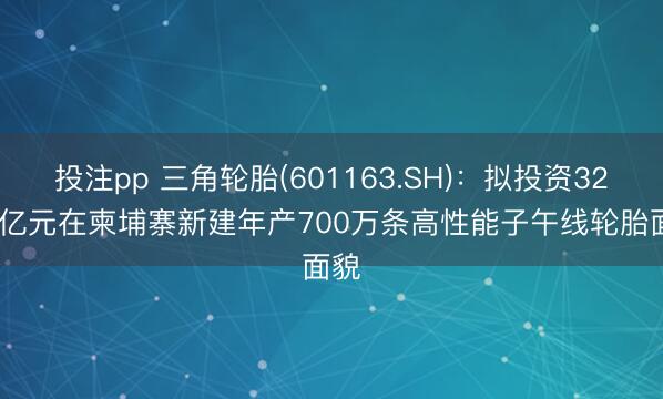 投注pp 三角轮胎(601163.SH):拟投资32.19亿元在柬埔寨新建年产700万条高性能子午线轮胎面貌