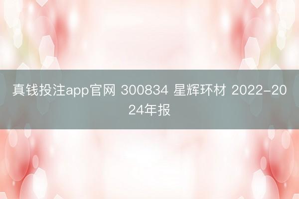 真钱投注app官网 300834 星辉环材 2022-2024年报
