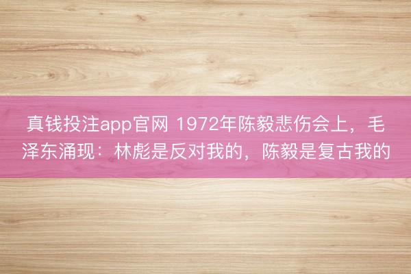真钱投注app官网 1972年陈毅悲伤会上，毛泽东涌现：林彪是反对我的，陈毅是复古我的