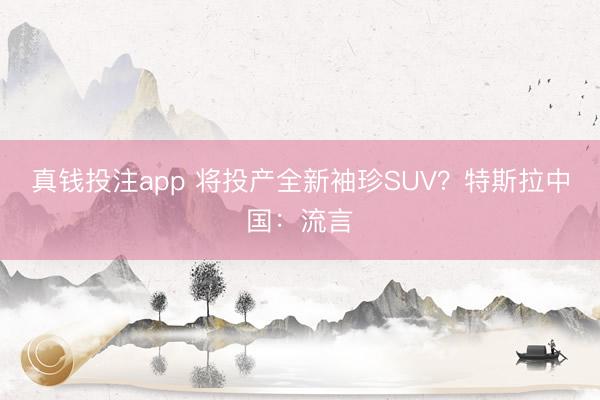 真钱投注app 将投产全新袖珍SUV？特斯拉中国：流言