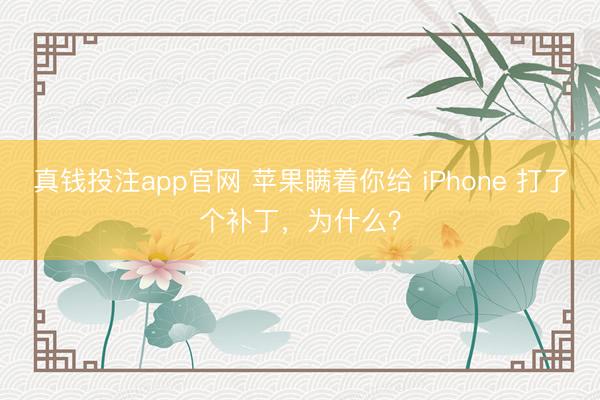 真钱投注app官网 苹果瞒着你给 iPhone 打了个补丁，为什么？