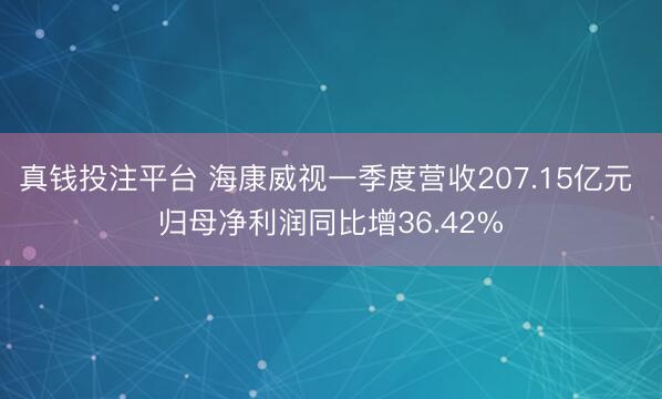 真钱投注平台 海康威视一季度营收207.15亿元 归母净利润同比增36.42%