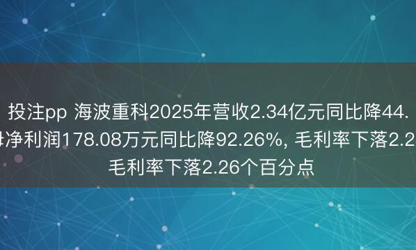 投注pp 海波重科2025年营收2.34亿元同比降44.29%， 归母净利润178.08万元同比降92.26%， 毛利率下落2.26个百分点