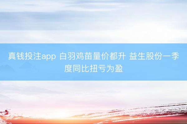 真钱投注app 白羽鸡苗量价都升 益生股份一季度同比扭亏为盈