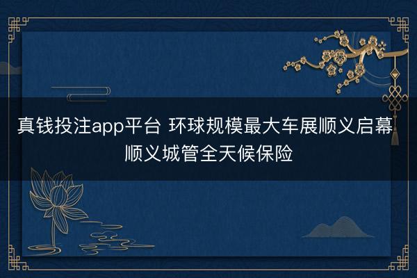 真钱投注app平台 环球规模最大车展顺义启幕 顺义城管全天候保险