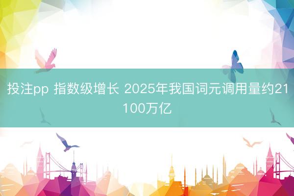 投注pp 指数级增长 2025年我国词元调用量约21100万亿