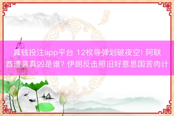 真钱投注 涉汉坦病毒邮轮有7东说念主发病 荷兰拟进行医疗转运