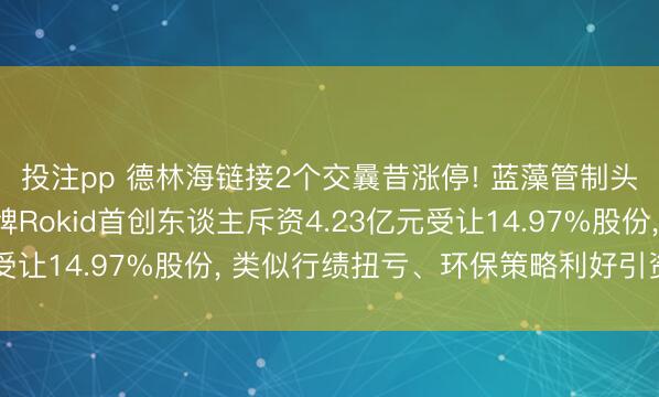 投注pp 德林海链接2个交曩昔涨停! 蓝藻管制头部企业获AI眼镜品牌Rokid首创东谈主斥资4.23亿元受让14.97%股份, 类似行绩扭亏、环保策略利好引资金热捧